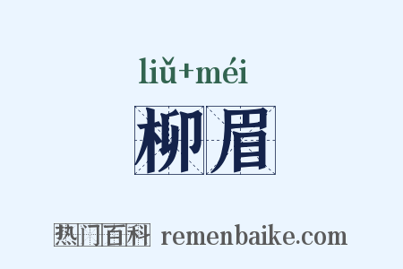 柳眉是什么意思的图片
